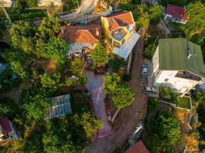 cardaklikonak